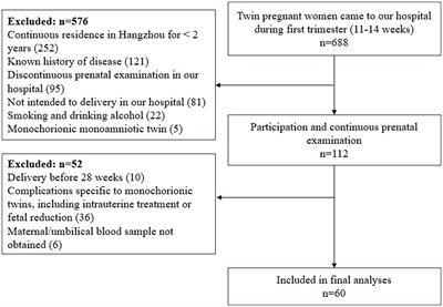 Exposure to heavy metals and trace elements among pregnant women with twins: levels and association with twin growth discordance